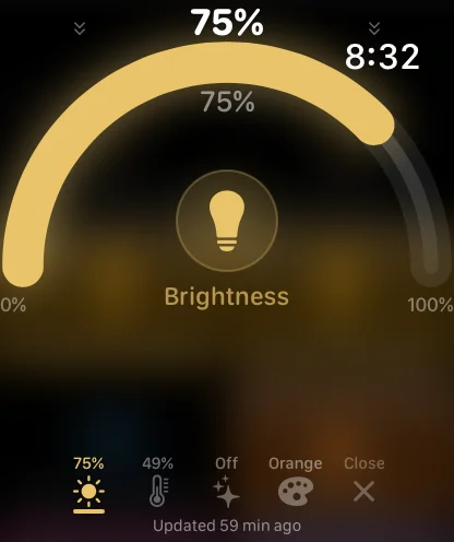 Brightness slider on Apple Watch